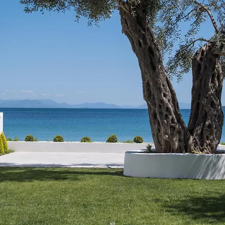 Daire Mare Nostrum By Hotelius *