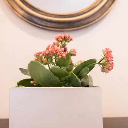 Mare Nostrum By Hotelius * Ipsos